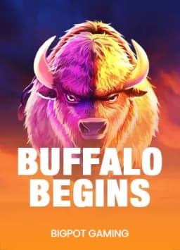 Buffalo Begins
