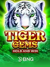 Tiger Gems