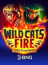 Wild Cats Fire