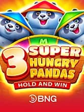 3 Super Hungry Pandas: Hold and Win