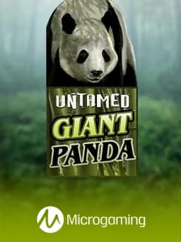 Untamed - Giant Panda