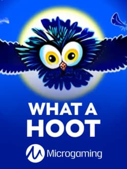 What A Hoot