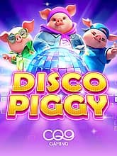 Disco Piggy