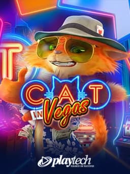 Cat in Vegas