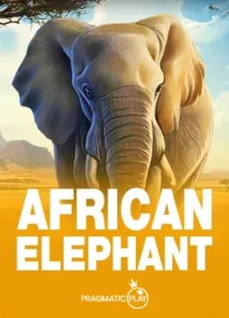 African Elephant