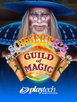 Sorcerer's Guild of Magic