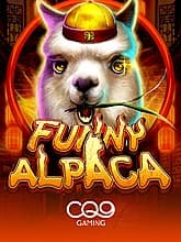 Funny Alpaca