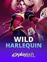 Wild Harlequin